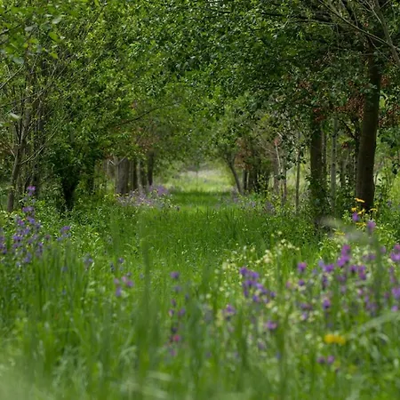Feriehus Saqa Organic Farm