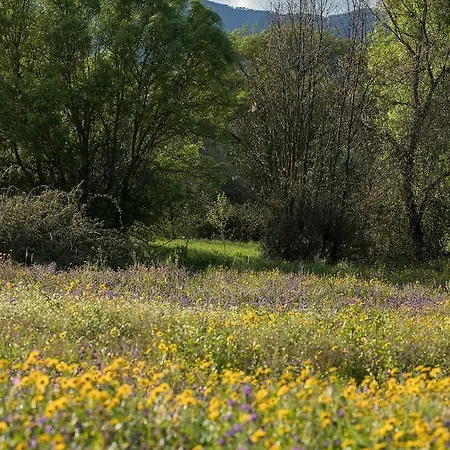 Saqa Organic Farm Feriehus *
